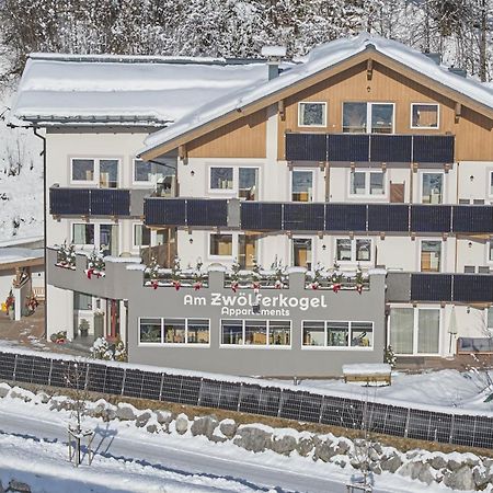 Am Zwoelferkogel Appartements Σάαλμπαχ-Χίντεργκλεμ Εξωτερικό φωτογραφία
