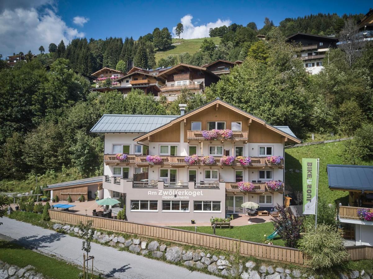 Am Zwoelferkogel Appartements Σάαλμπαχ-Χίντεργκλεμ Εξωτερικό φωτογραφία