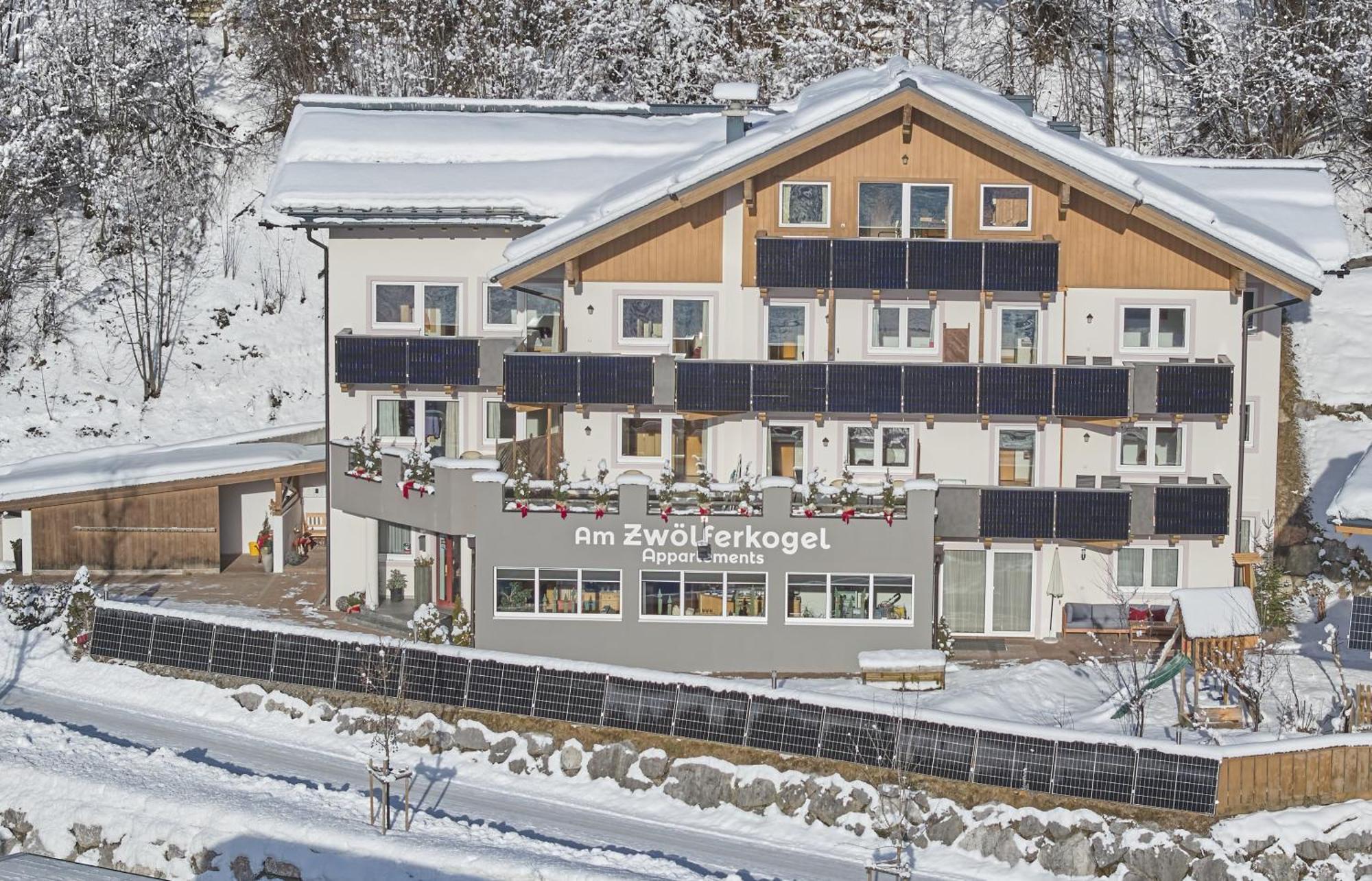 Am Zwoelferkogel Appartements Σάαλμπαχ-Χίντεργκλεμ Εξωτερικό φωτογραφία