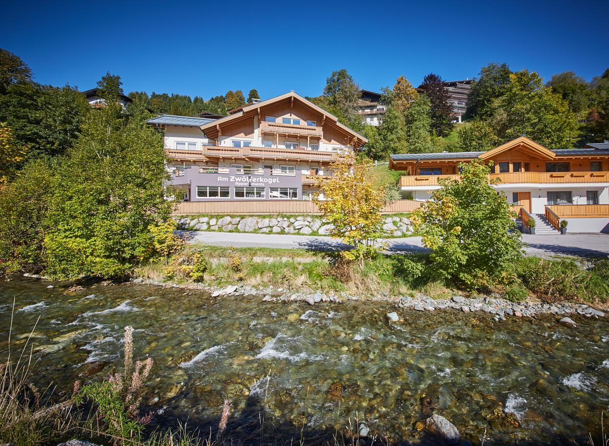 Am Zwoelferkogel Appartements Σάαλμπαχ-Χίντεργκλεμ Εξωτερικό φωτογραφία