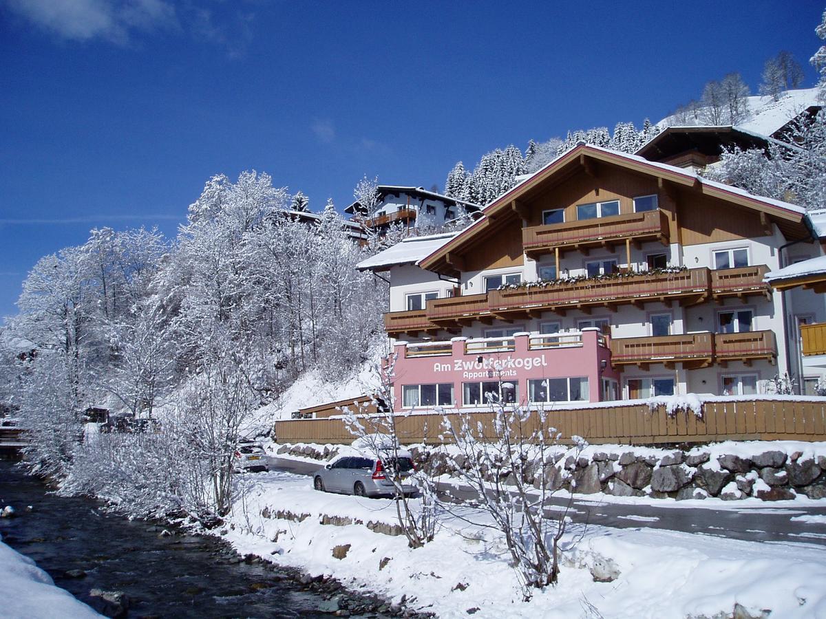 Am Zwoelferkogel Appartements Σάαλμπαχ-Χίντεργκλεμ Εξωτερικό φωτογραφία