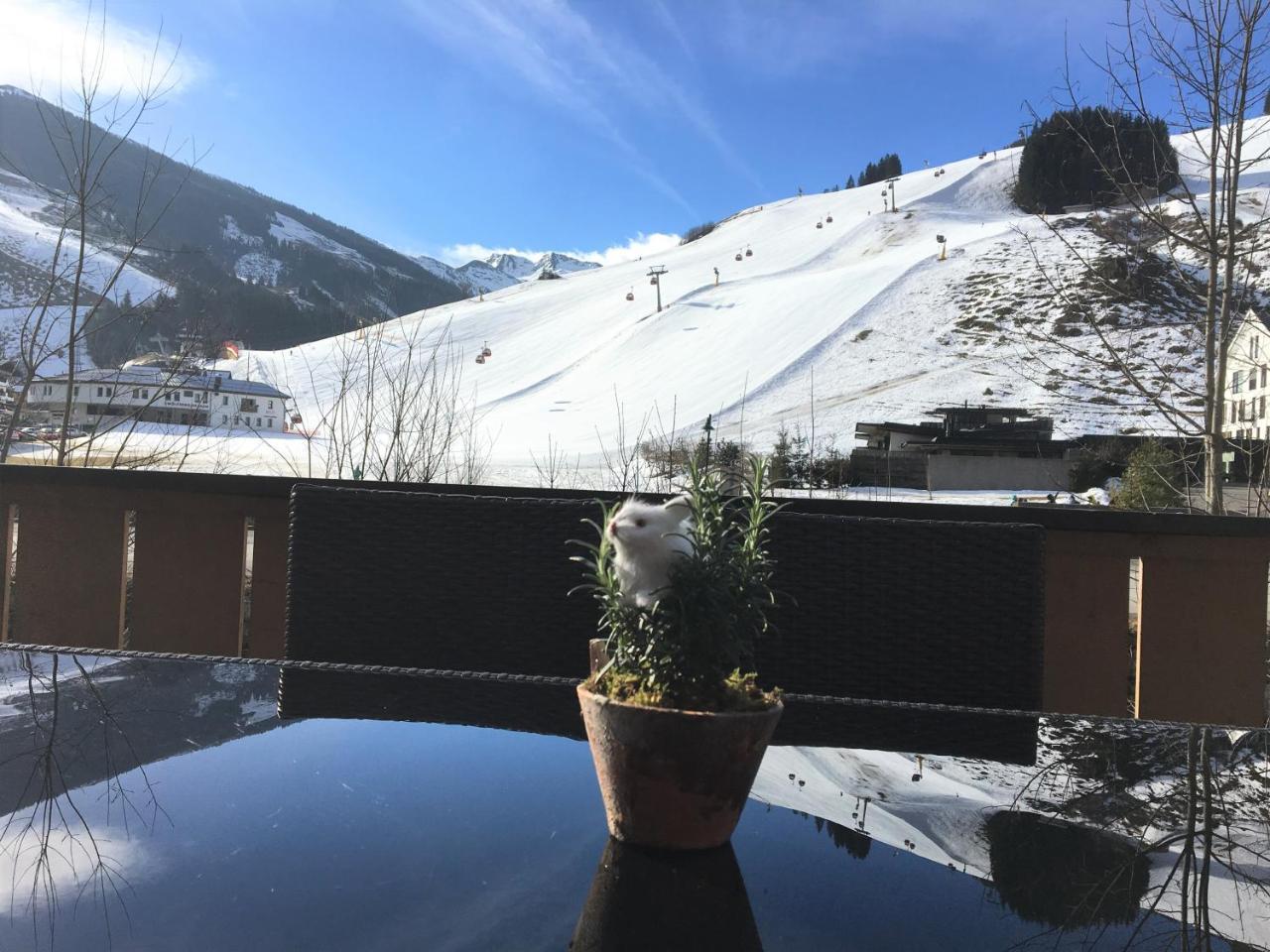 Am Zwoelferkogel Appartements Σάαλμπαχ-Χίντεργκλεμ Εξωτερικό φωτογραφία