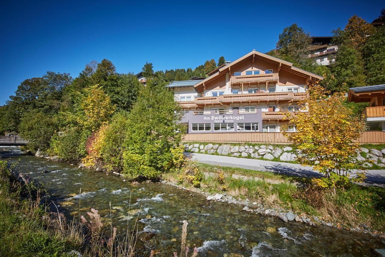 Am Zwoelferkogel Appartements Σάαλμπαχ-Χίντεργκλεμ Εξωτερικό φωτογραφία