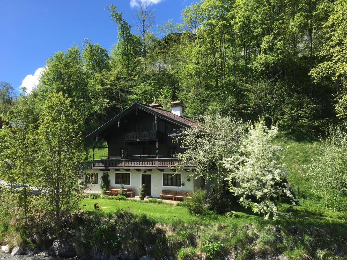 Am Zwoelferkogel Appartements Σάαλμπαχ-Χίντεργκλεμ Εξωτερικό φωτογραφία